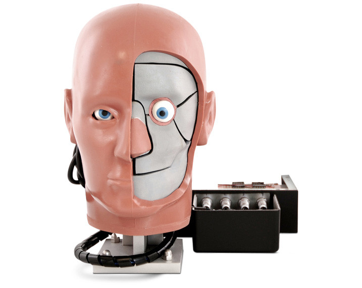 Dummy Head Used Fot Tests