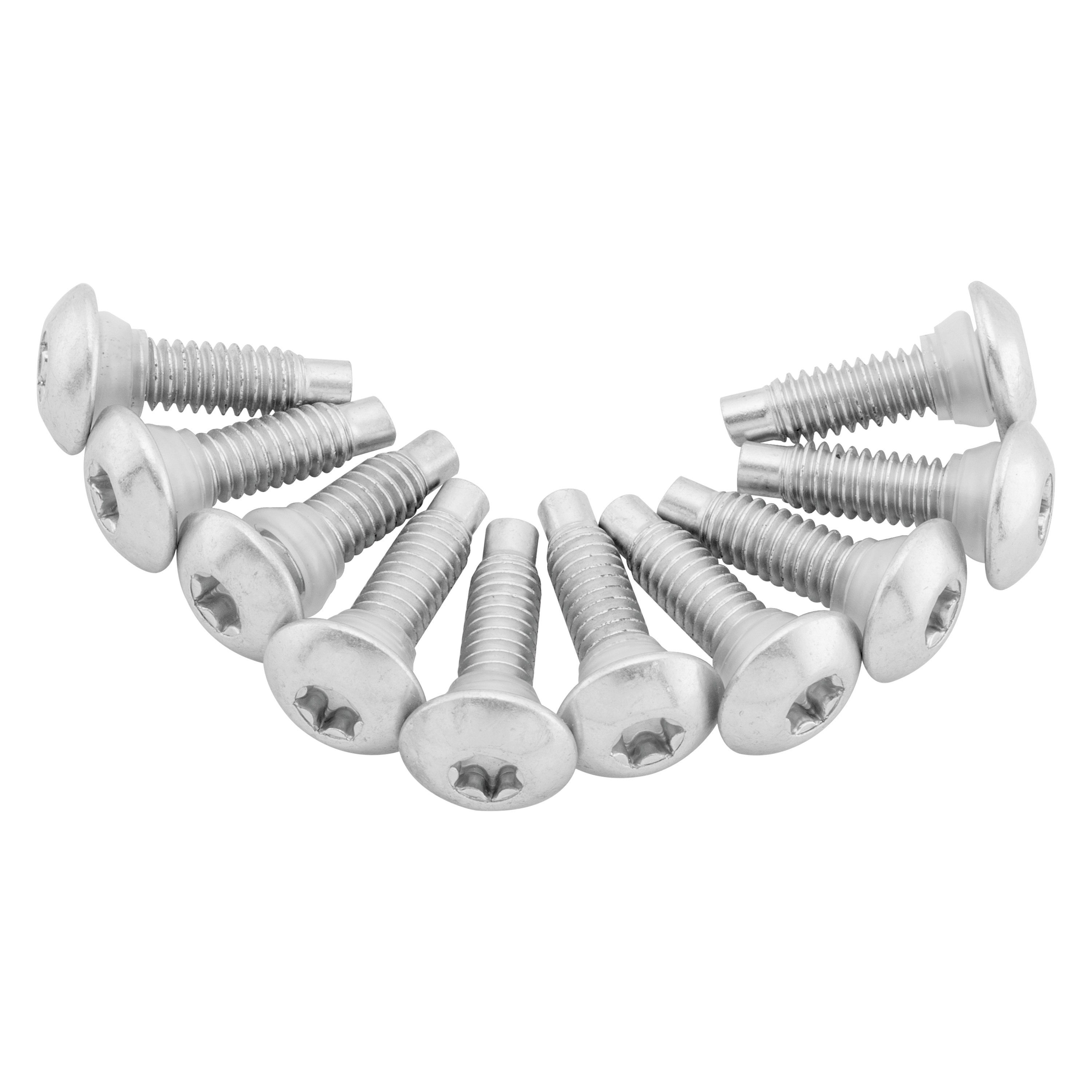 Twin Power® Fuel Pump Plate Screw Kit