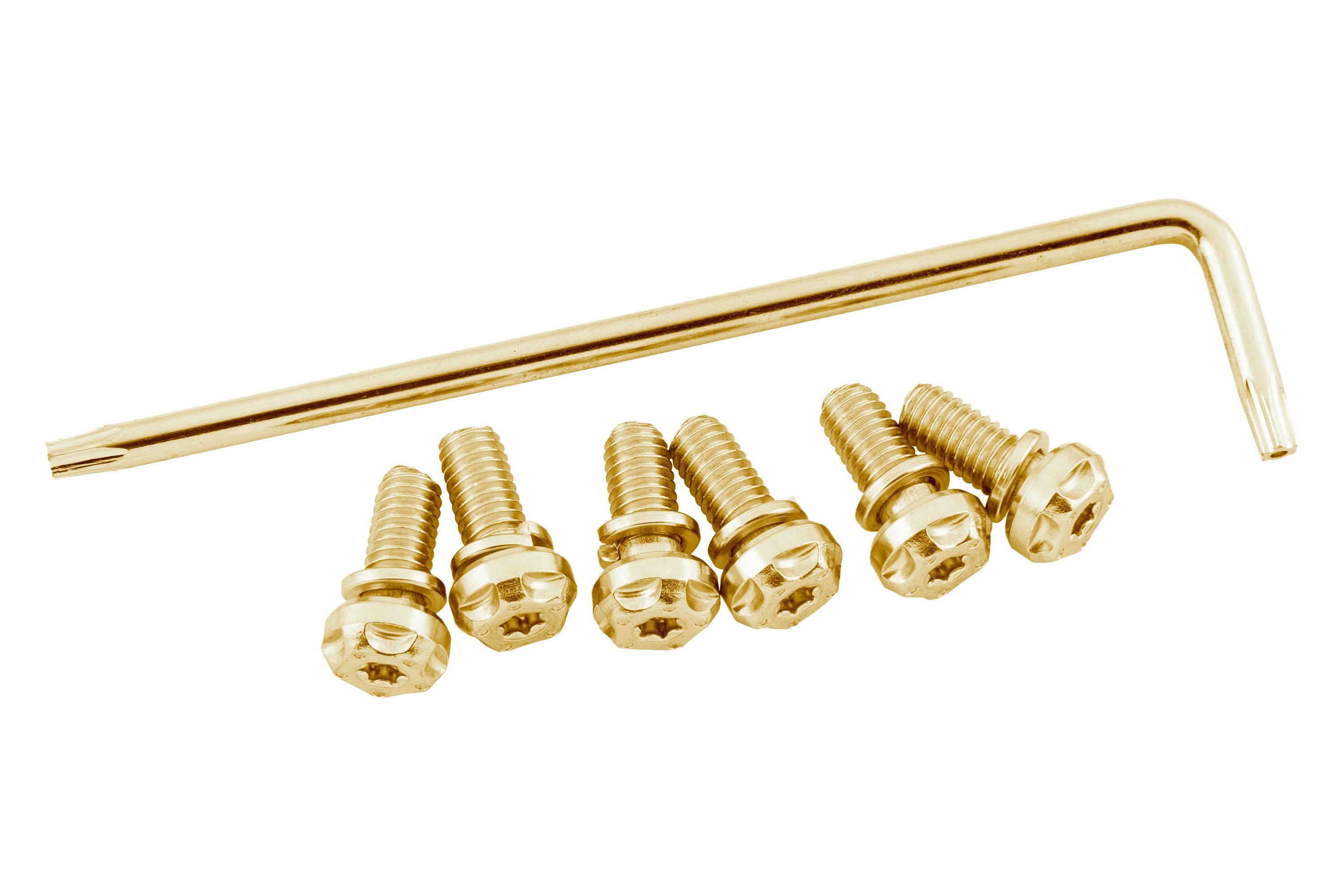 Gold Two Brothers Racing 005-001-G Torx Screw Kit 
